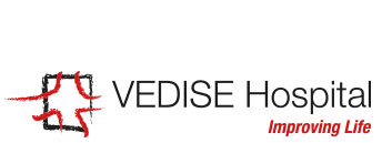 logo-vedise